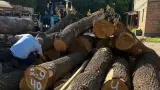 Два місяці втрачено: теплотрасу на Теремках добудовують упритул до зими