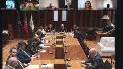 Відбулася зустріч комітетів у закордонних справах парламентів України та Португалії