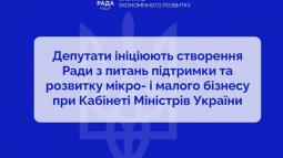 Парламентарії ініціювали створення Ради з питань підтримки та розвитку мікро- і малого бізнесу при Уряді