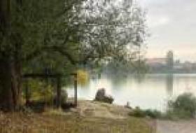 Прокуратура заявила о возвращении общине земли водфонда Киевщины