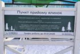 В Киеве начали работу пункты приема новогодних деревьев
