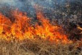 Киевлян призывают не сжигать сухую растительность: это вредит окружающей среде и предусматривает штрафы