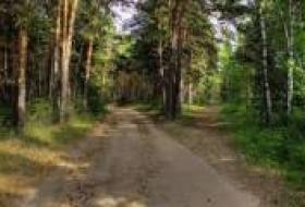 Беличанский лес окончательно вернули общине Киева