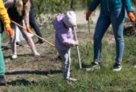 В Киеве проведут толоки в более чем 120 парках, скверах, прибрежных и лесопарковых зонах