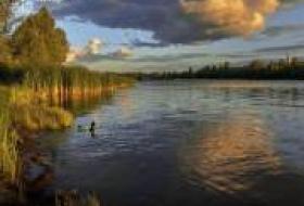 Прокуратура через суд требует от Киевсовета предоставить природоохранный статус ряду территорий столицы