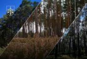 В Киевской области прокуратура вернула государству более 84 га ценных земель