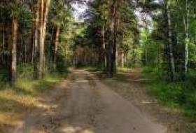 Общине Киева в суде вернули 3 000 гектаров Беличанского леса