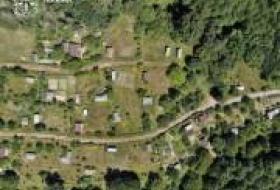 Киевская прокуратура через суд возвращает общине более 3 гектаров заповедных земель в Голосеевском парке