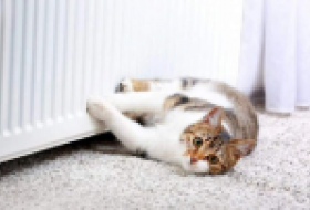 Столица уже готовится к следующему отопительному сезону