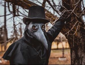 Черная смерть в Европе: ученые объяснили исчезновение растений