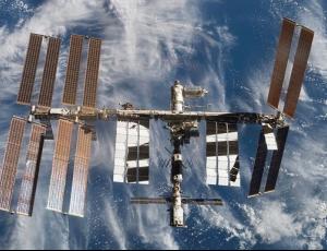 Альтернативная эволюция: ученые провели эксперимент с бактериями на МКС