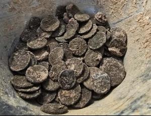 В Хорватии нашли более 300 римских монет