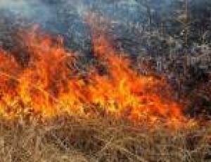 Киевлян призывают не сжигать сухую растительность: это вредит окружающей среде и предусматривает штрафы