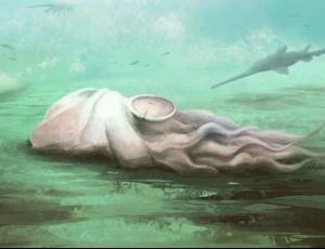 Самый древний известный осьминог оказался совсем другим существом