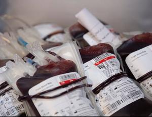 Свидетели Иеговы смягчили запрет на переливание крови