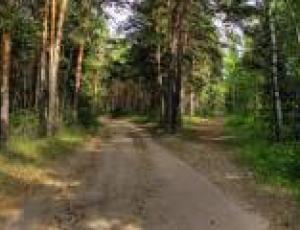 Общине Киева в суде вернули 3 000 гектаров Беличанского леса