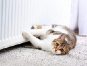 Столица уже готовится к следующему отопительному сезону