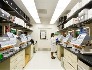 Ожирение значительно ускоряет развитие болезни Альцгеймера - исследование