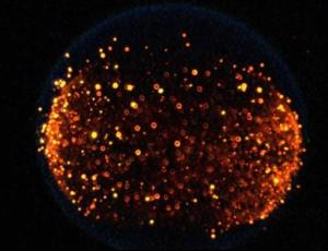 NASA впервые устроит 