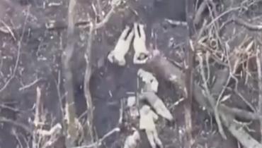 Росіяни вбили евакуаційну групу і розстріляли чотирьох українських військовополонених (відео)