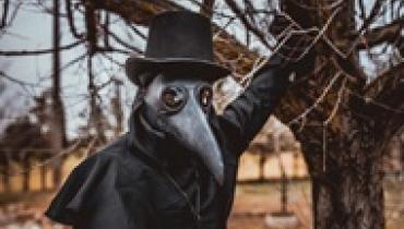 Черная смерть в Европе: ученые объяснили исчезновение растений