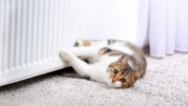 Столица уже готовится к следующему отопительному сезону