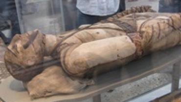 В мумиях Древнего Египта обнаружили каннабис, кокаин и никотин