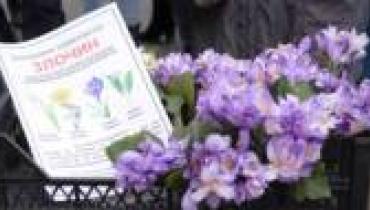 Городские власти напоминают о штрафах за торговлю редкими растениями