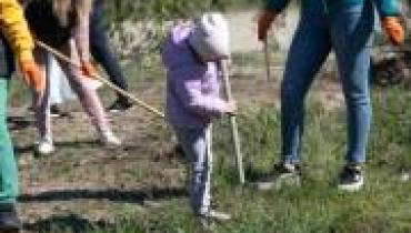 В Киеве проведут толоки в более чем 120 парках, скверах, прибрежных и лесопарковых зонах