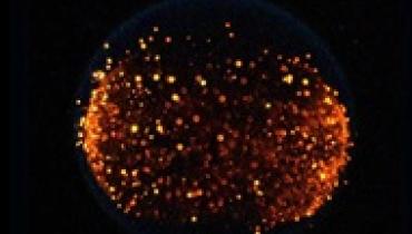 NASA впервые устроит 