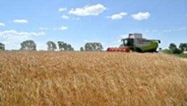 Аграрии намолотили более 22 млн тонн зерновых и масличных