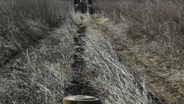 Міни проти швидкості: як Україна зупиняє російські атаки на легкій техніці