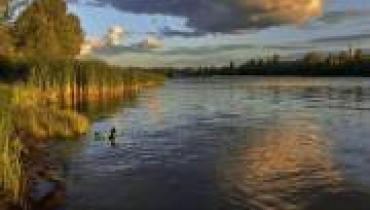 Прокуратура через суд требует от Киевсовета предоставить природоохранный статус ряду территорий столицы