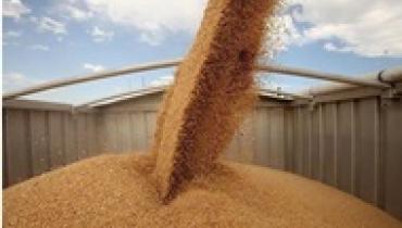 В марте экспорт агропродукции вырос на 10,8%