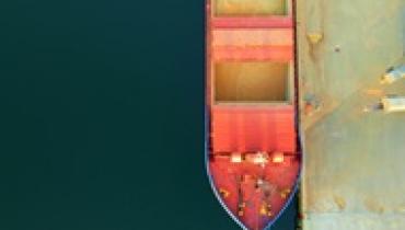 США вытесняют украинскую кукурузу с рынка ЕС - СМИ