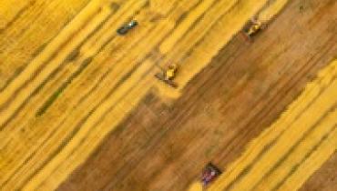 Аграрии приблизились к сбору первого миллиона тонн зерна