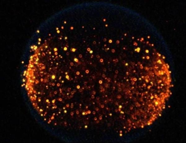 NASA впервые устроит 