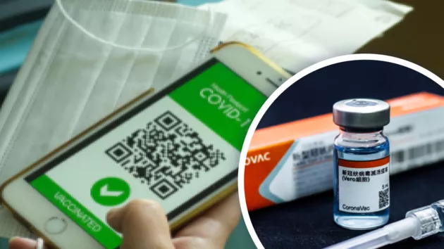 Начнут пускать с 11 июня. Первая страна ЕС признала украинское COVID-свидетельство