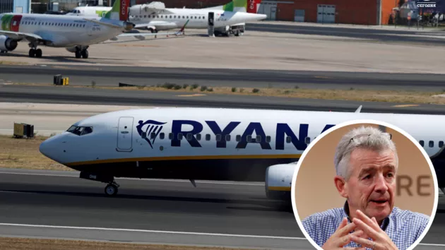 "Не мог поступить иначе". В Ryanair объяснили, почему пилот самолета сел в Минске