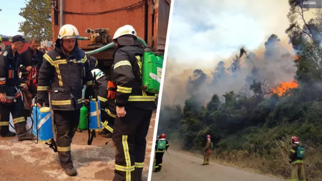 Украинские пожарные в Греции спасли от огня два поселка и стадо овец