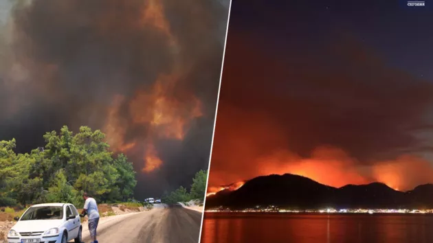 В Турции спасатели ликвидировали большинство лесных пожаров – Эрдоган